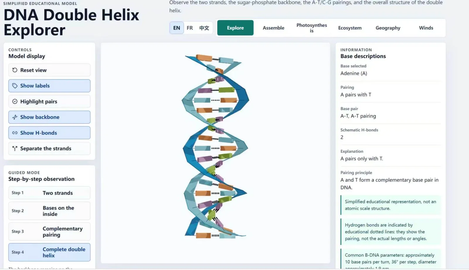 DBIO Interactive Science Lab — screenshot